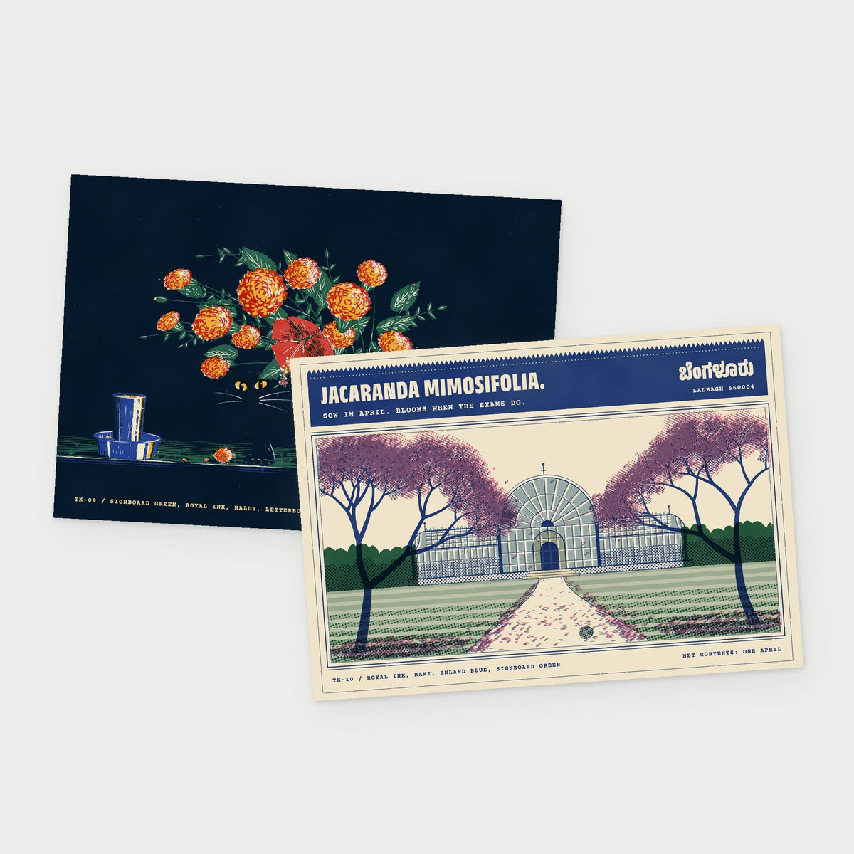 Bengaluru Pair: Still Life with Cat and Jacaranda Season, Lalbagh postcards