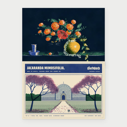 Still Life with Cat and Jacaranda Season, Lalbagh postcards side by side