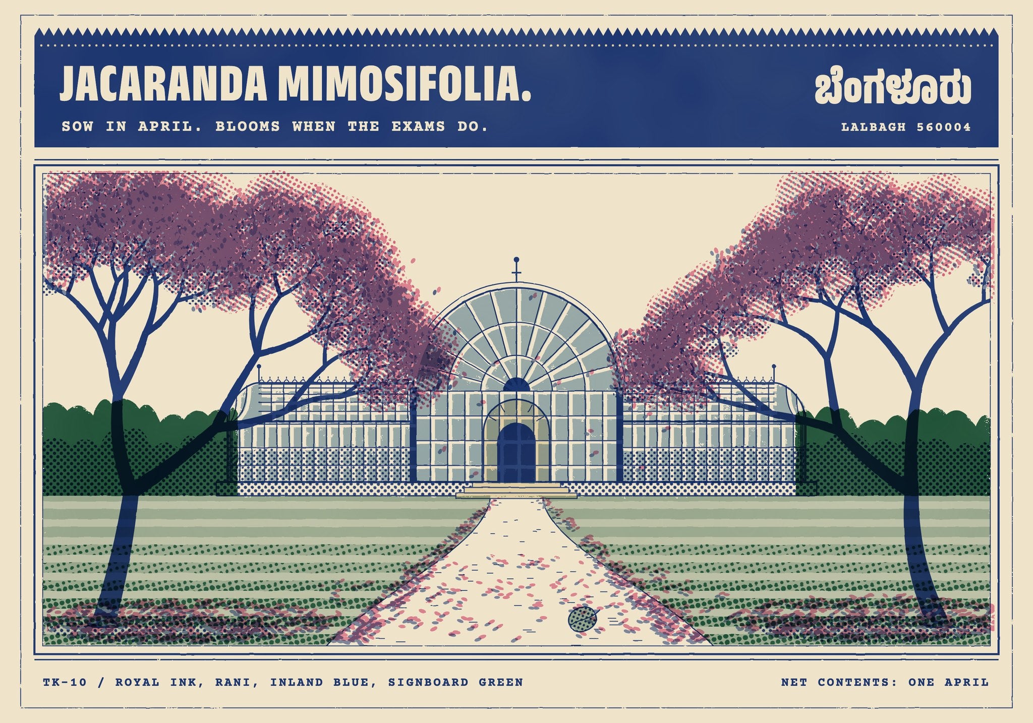 Jacaranda Season, Lalbagh Postcard, front